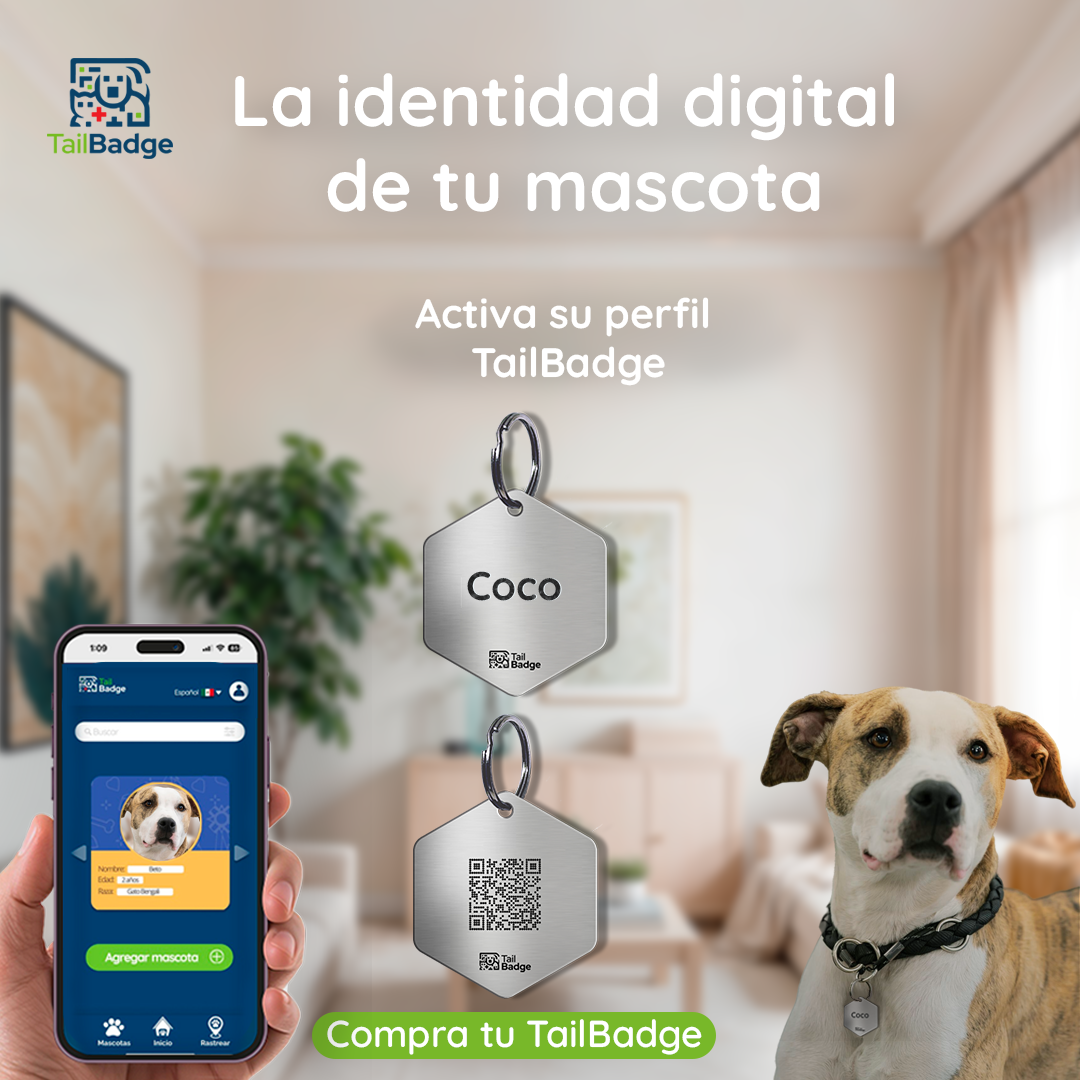 PLACA PARA MASCOTA HEXAGONO