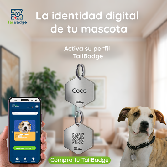 PLACA PARA MASCOTA HEXAGONO