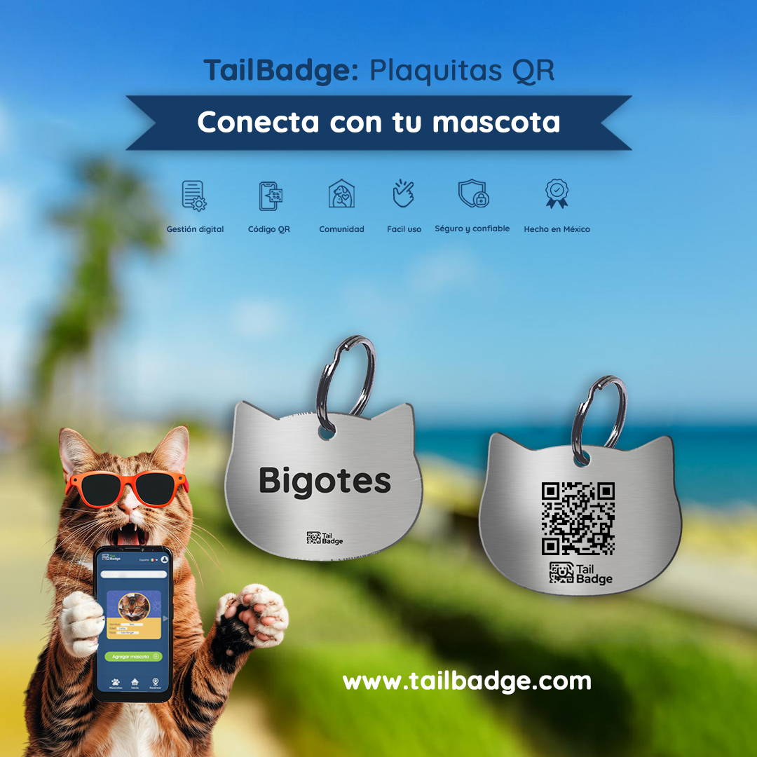 PLACA PARA MASCOTA GATO