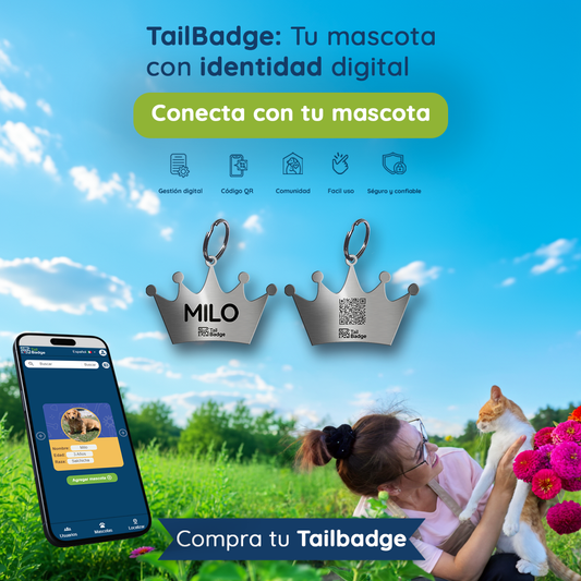 CROWN-SHAPED PET TAG