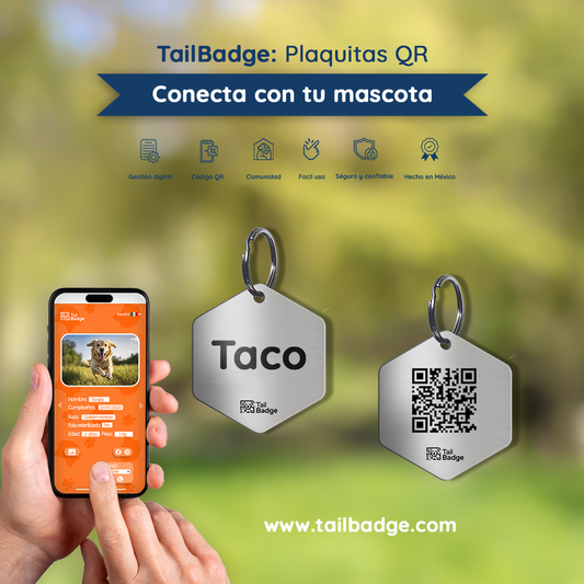 PLACA PARA MASCOTA HEXAGONO