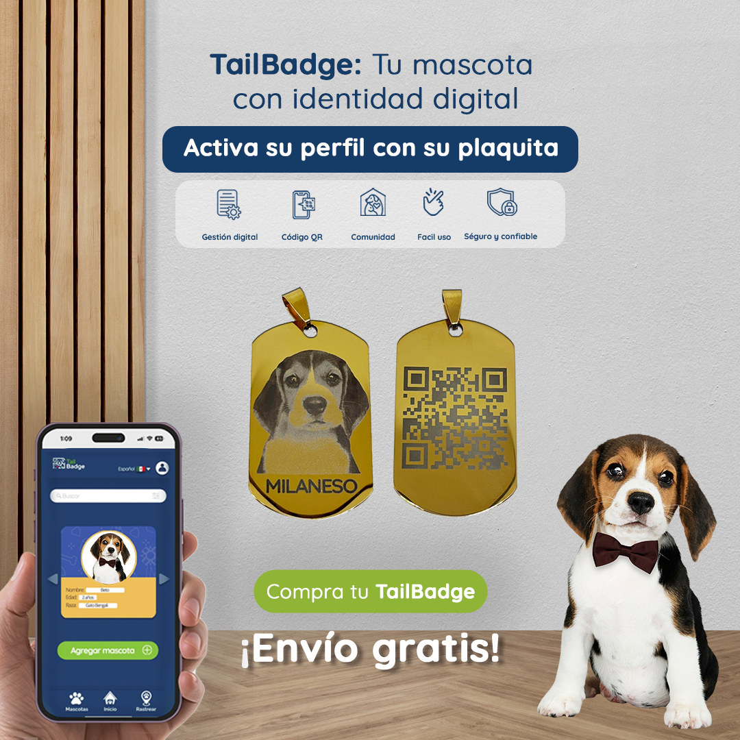 PLACA DE IDENTIFICACIÓN DE MASCOTA DORADA CON GRABADO DE FOTO